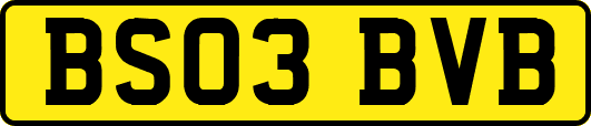 BS03BVB