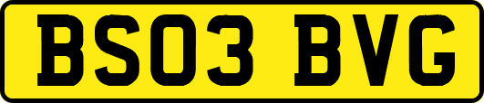 BS03BVG