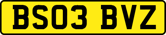 BS03BVZ
