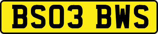 BS03BWS