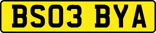 BS03BYA
