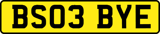 BS03BYE