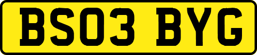 BS03BYG