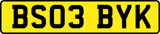 BS03BYK