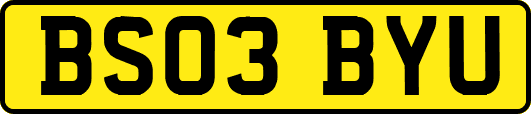 BS03BYU