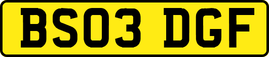 BS03DGF