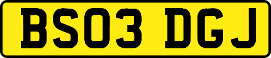 BS03DGJ