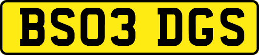 BS03DGS