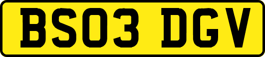 BS03DGV