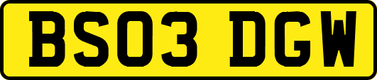 BS03DGW