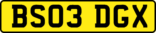 BS03DGX