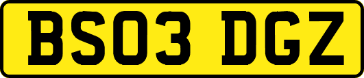 BS03DGZ