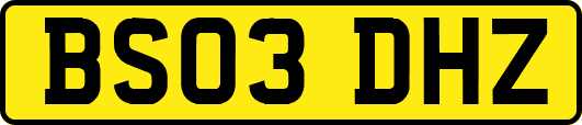 BS03DHZ