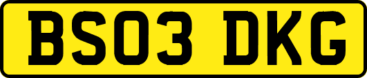 BS03DKG