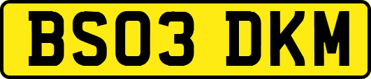 BS03DKM