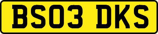 BS03DKS