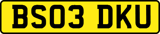 BS03DKU