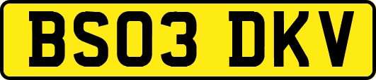 BS03DKV
