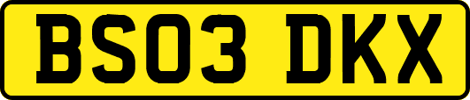 BS03DKX