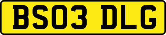 BS03DLG