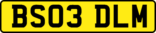 BS03DLM