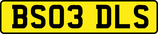BS03DLS