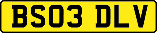 BS03DLV