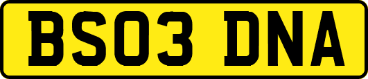 BS03DNA