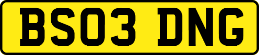 BS03DNG