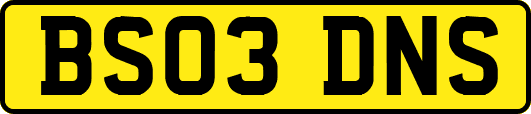 BS03DNS