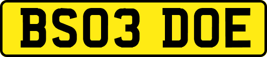 BS03DOE