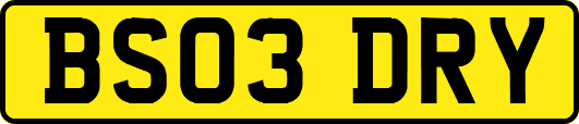 BS03DRY