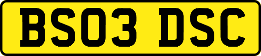 BS03DSC