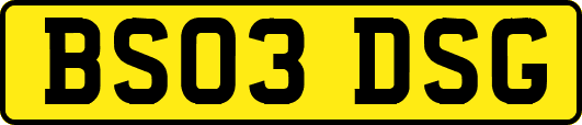 BS03DSG