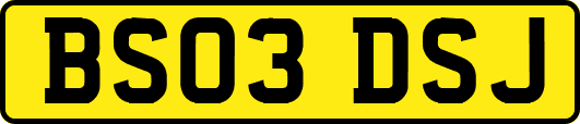 BS03DSJ
