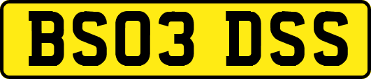 BS03DSS