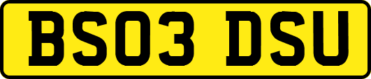 BS03DSU