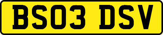 BS03DSV
