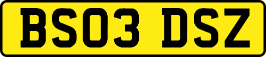 BS03DSZ