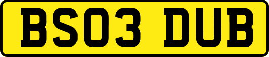BS03DUB