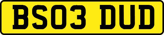 BS03DUD