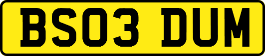 BS03DUM