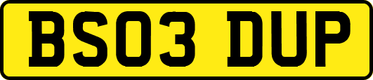 BS03DUP