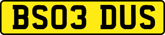 BS03DUS