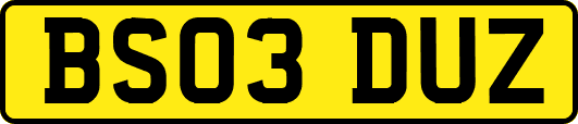 BS03DUZ