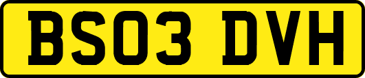 BS03DVH