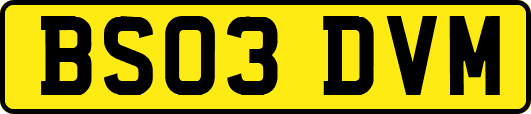 BS03DVM