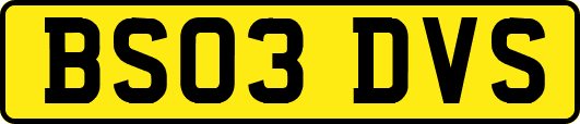 BS03DVS