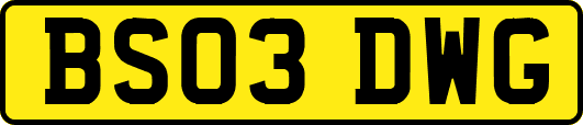 BS03DWG