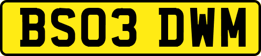 BS03DWM